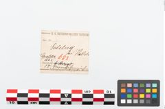 Etikett zu Menschenzahn (NHMW-PRAE-025770a)